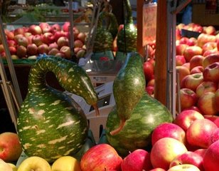 加拿大行程表(签证)(21日游)