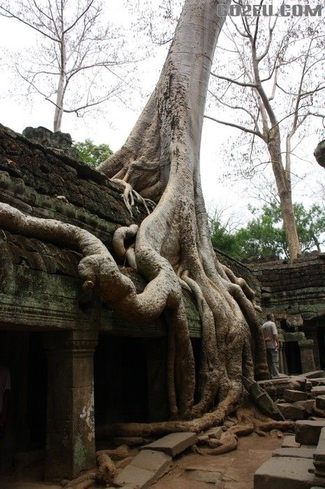 allenxx1的微游记_清明节的柬埔寨6日游(金边进