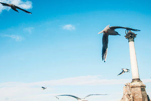 克里米亚旅游攻略_克里米亚自由行旅游攻略_