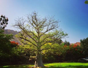 【土耳其 韩国 卡塔尔 以色列旅游线路】以色列