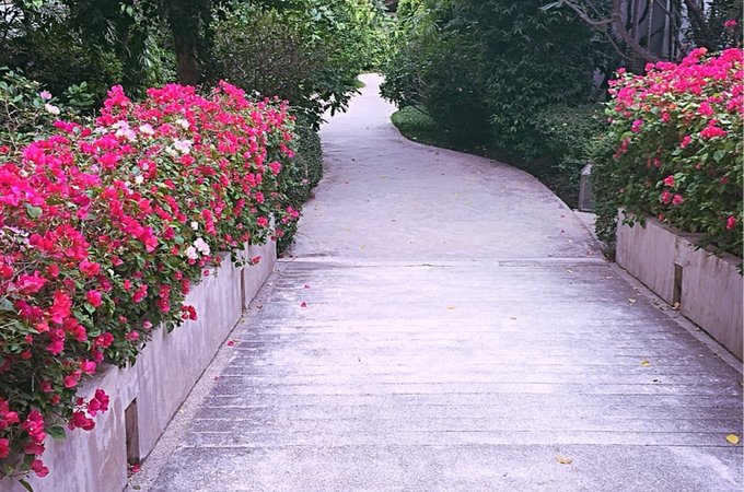 中信银行续签代传美国签证,必须要本人亲自去