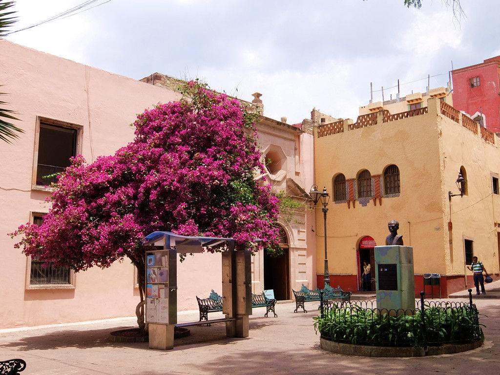 只去墨西哥的瓜纳华托 - 中美