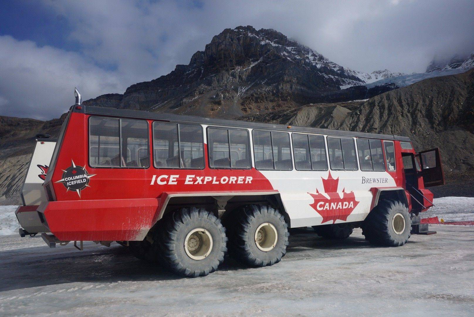 单身大龄白本女网签通过,来给想去看男朋友的