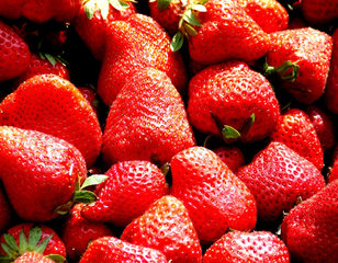 【法国旅游线路】Ba巴黎5天