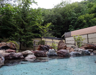 4月初大阪北海道滑雪温泉购物樱花行(9日游)