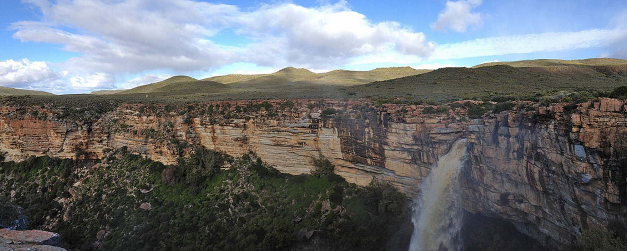 【自然奇景】南非纳马夸兰Namaqualand花海
