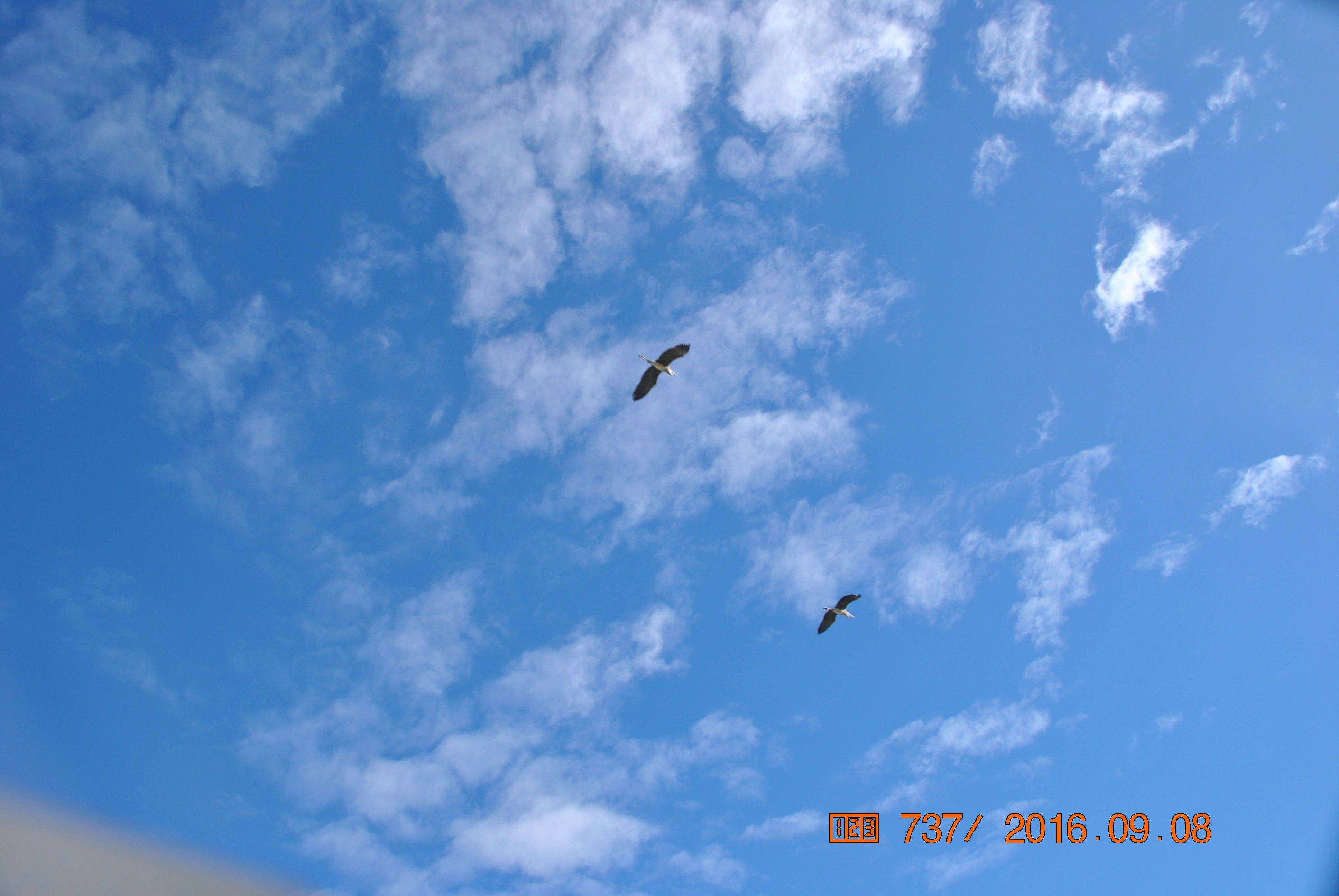 走入北欧、中西欧的中国老人-房车自驾-上部 -