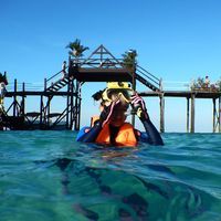 上海外地人港澳签注办理时间记录